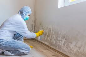 Best Mold Remediation for Healthcare Facilities  in Buchanan, NY