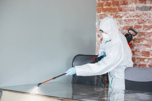 Best Mold Damage Restoration  in Buchanan, NY